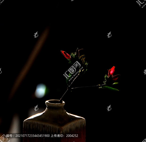 花兒