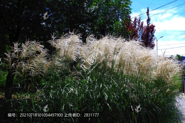 北京望和公園南園