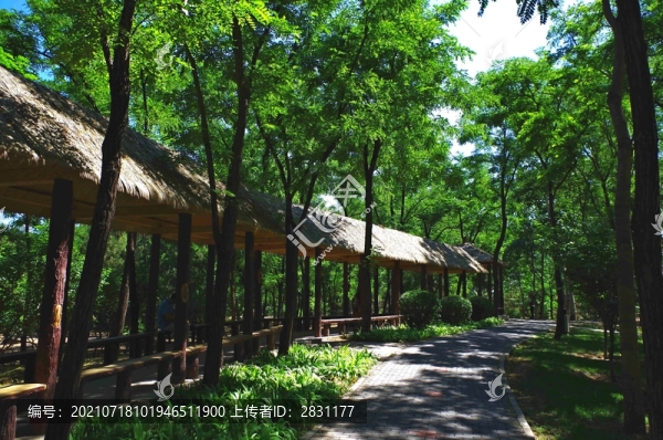 北京朝陽區(qū)興隆公園