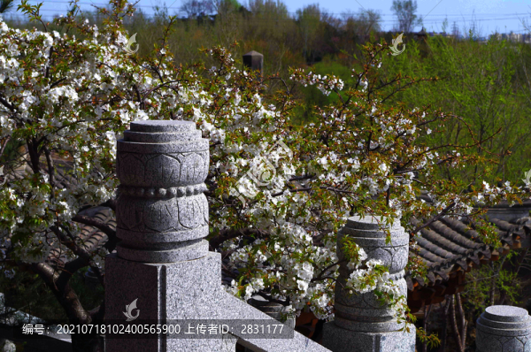 北京榆樹莊公園