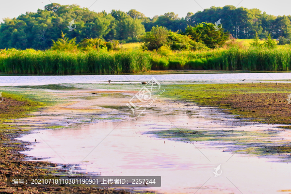 河流與河畔風(fēng)光