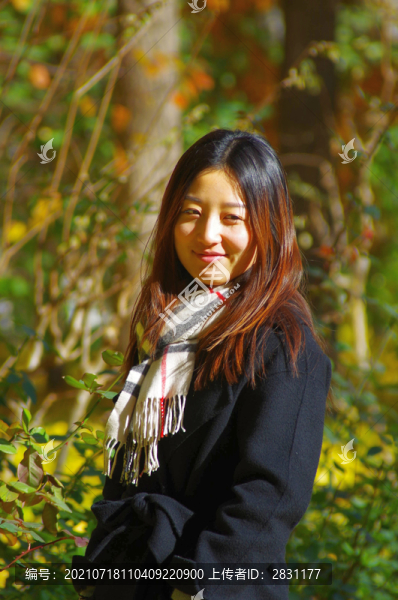北京月壇公園銀杏