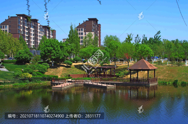 北京房山區(qū)長(zhǎng)陽(yáng)公園郁金香