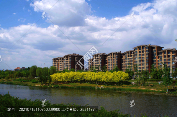 北京房山區(qū)長(zhǎng)陽(yáng)公園郁金香
