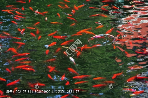 北京植物園