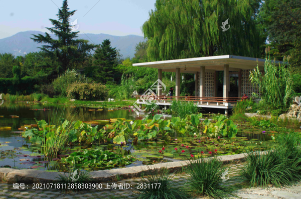 北京植物園南園