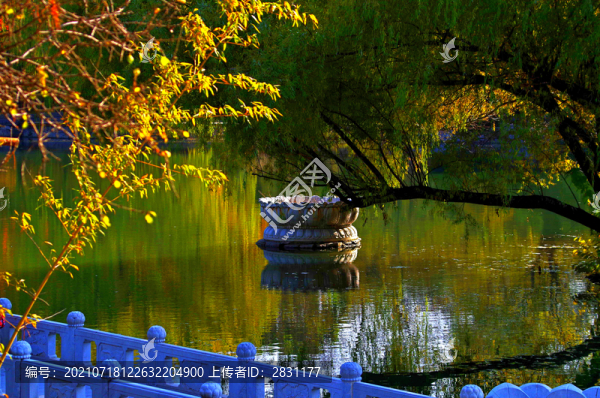 北京紫竹院公園