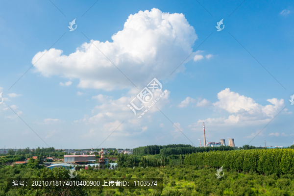 航拍東營大王林場