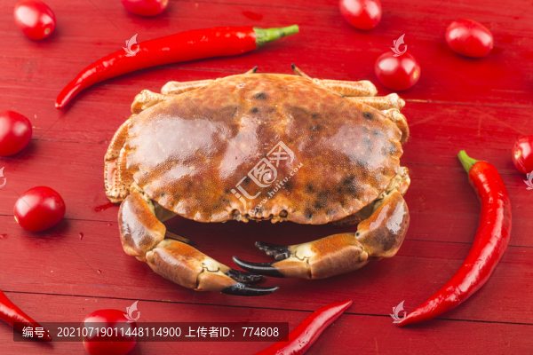 饅頭蟹