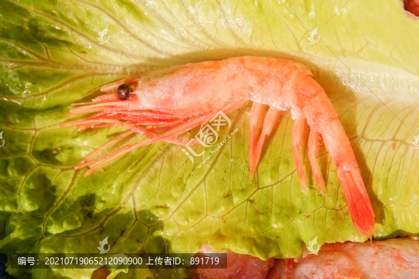 甜蝦
