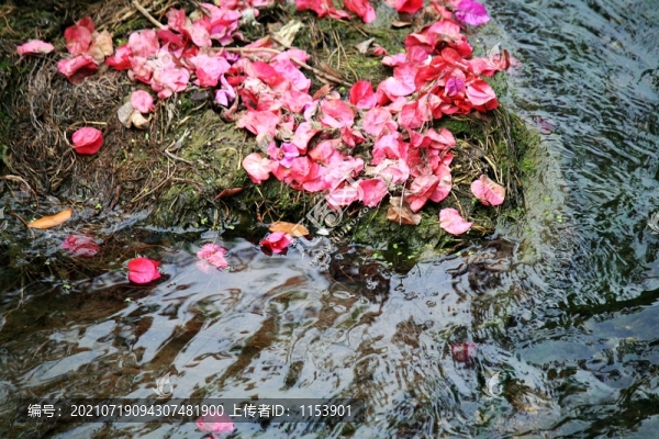 落花流水