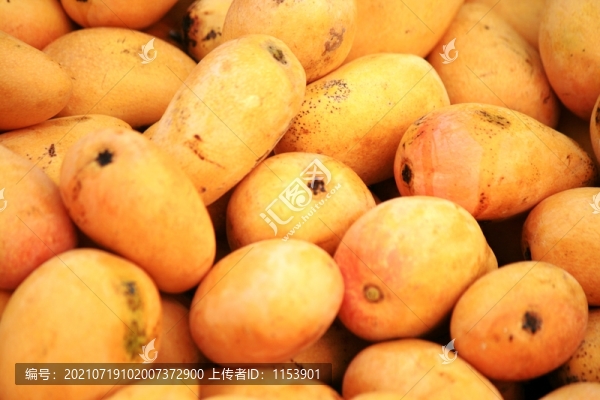小臺(tái)芒