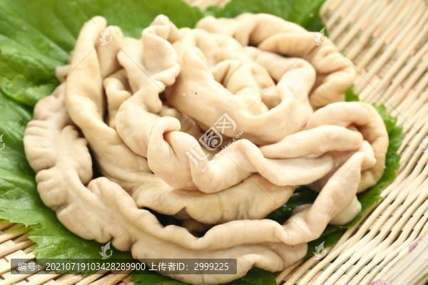 豬大腸