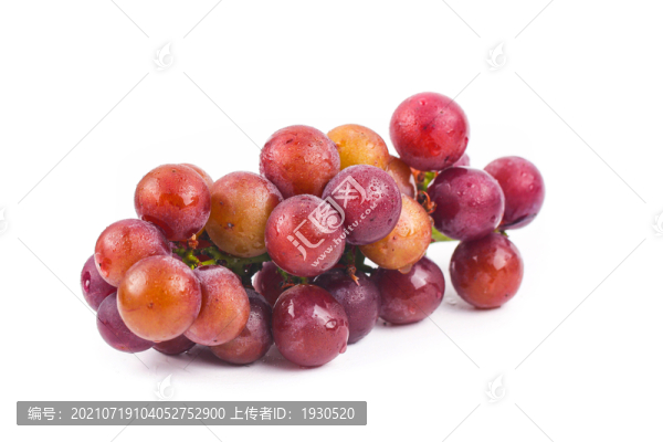 葡萄