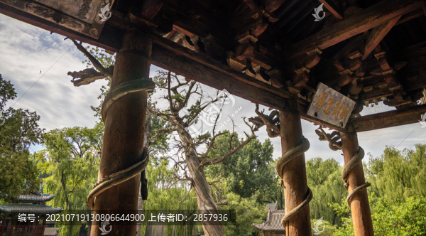 山西太原晉祠圣母殿三龍盤柱