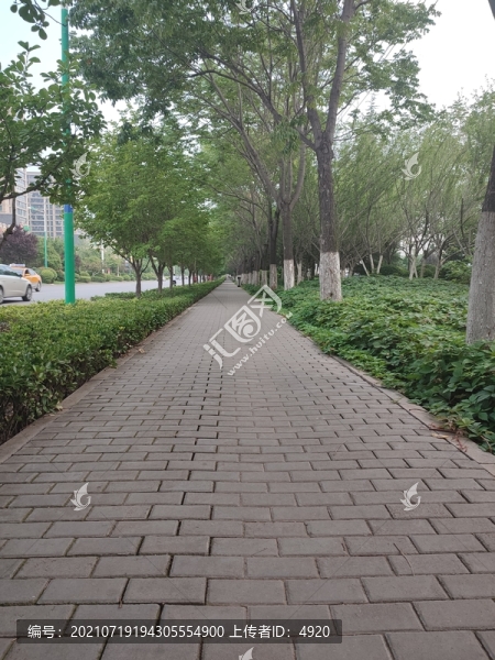 林蔭道