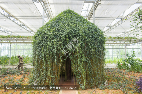 植物造型房屋