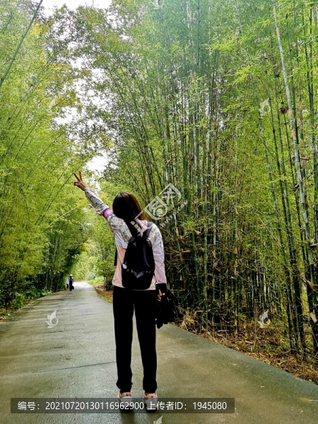 竹林道路美女