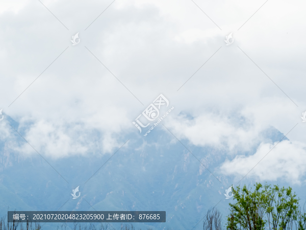 野外