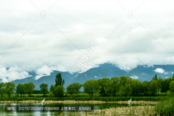 野鴨湖