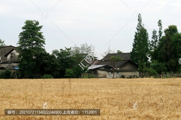 農(nóng)家田園