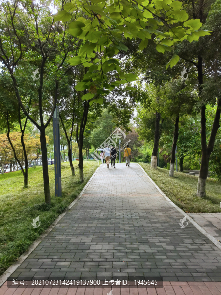 園林小路