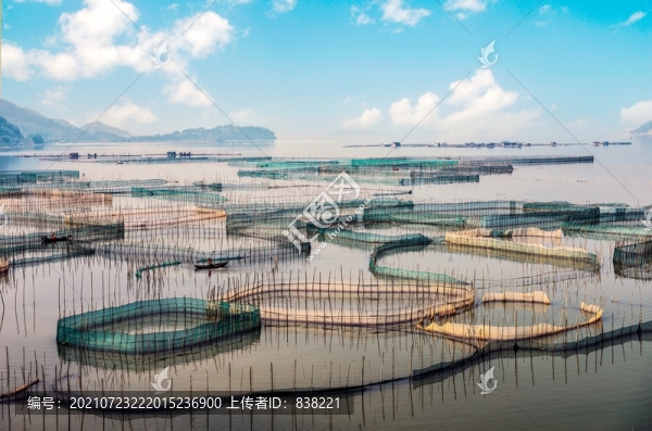 霞浦水產(chǎn)養(yǎng)殖