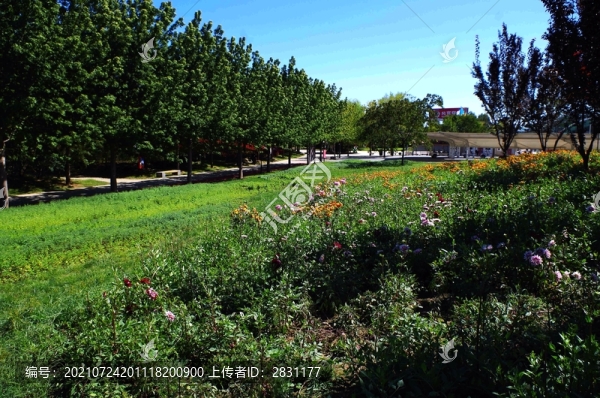 北京順義國(guó)際鮮花港