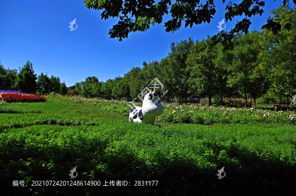 北京順義國際鮮花港