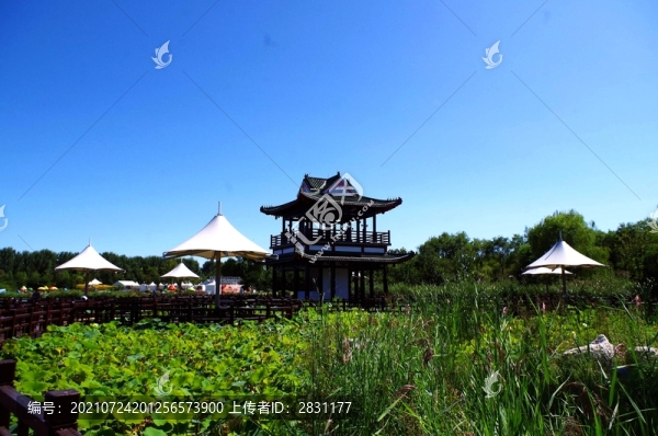北京順義國際鮮花港