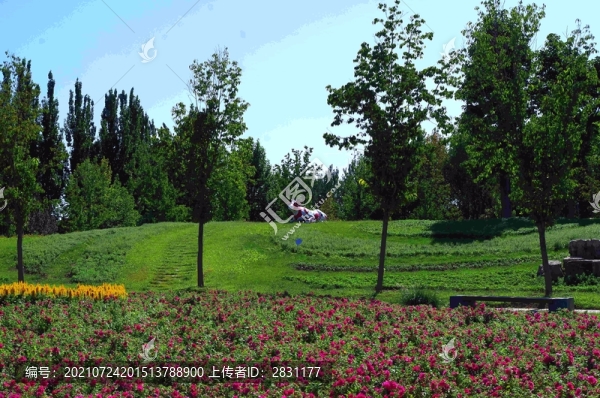 北京順義國際鮮花港