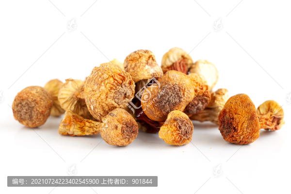 美味的松茸菌