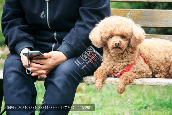 人與狗