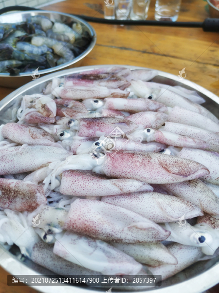 魷魚