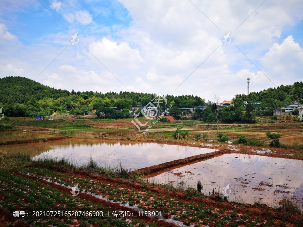 農(nóng)田