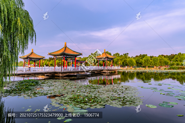 夏季的中國(guó)長(zhǎng)春南湖公園風(fēng)景