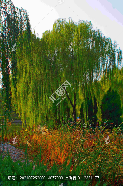 北京市朝陽區(qū)酒仙橋四得公園