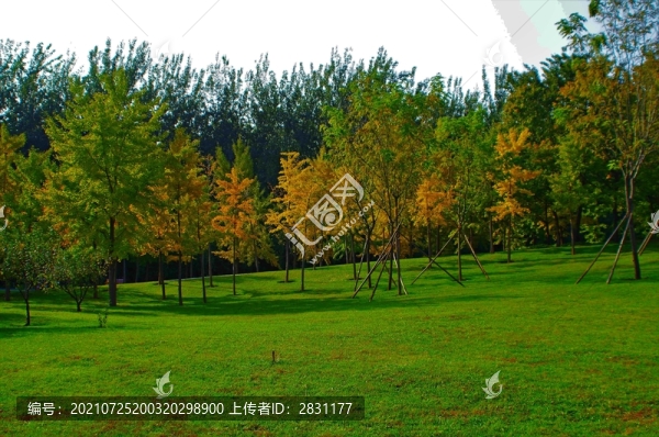 北京市朝陽區(qū)酒仙橋四得公園