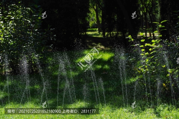 北京小屯公園