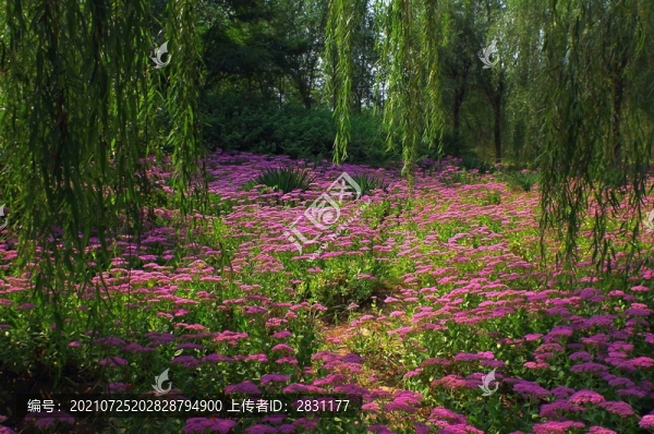 北京永定河郊野公園