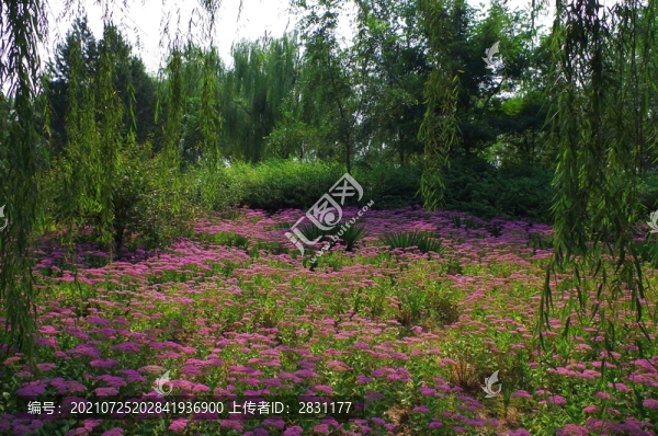 北京永定河郊野公園