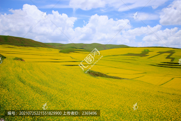 甘南自然風(fēng)光