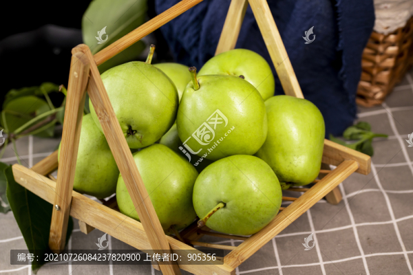 陜西早酥梨