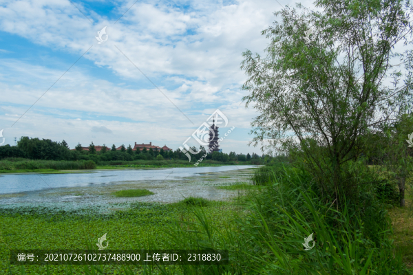 高旻寺風(fēng)光