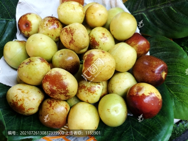 冬棗