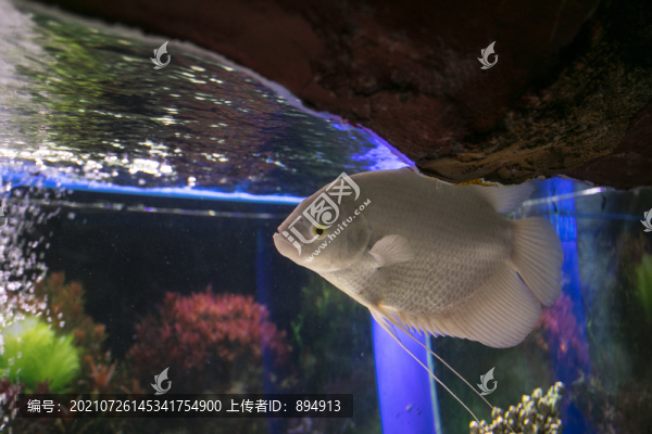 水族館