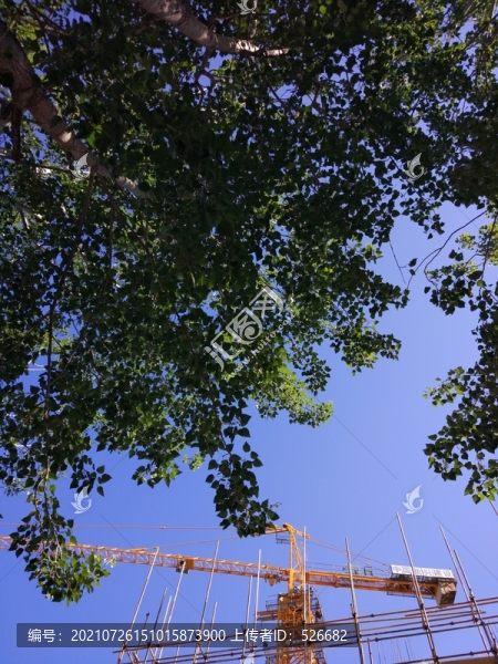 夏日的建筑工地塔吊車