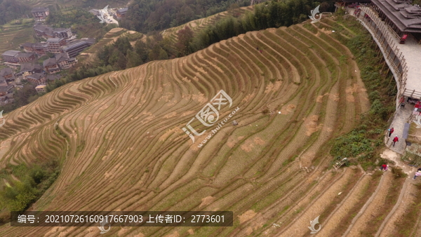 龍脊梯田