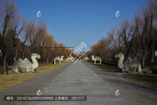 北京十三陵神道
