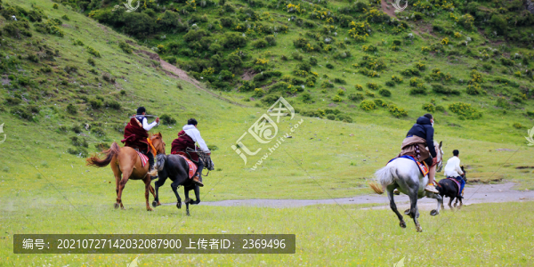 草原賽馬